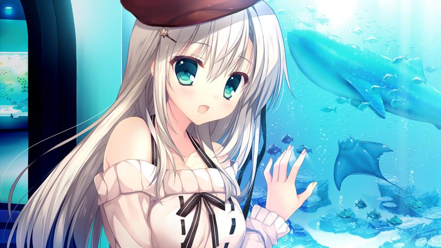 春音网络 连接春天的声音